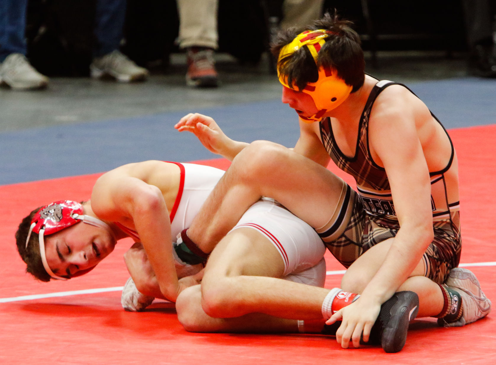 Gallery: Wrestling state finals - consolations